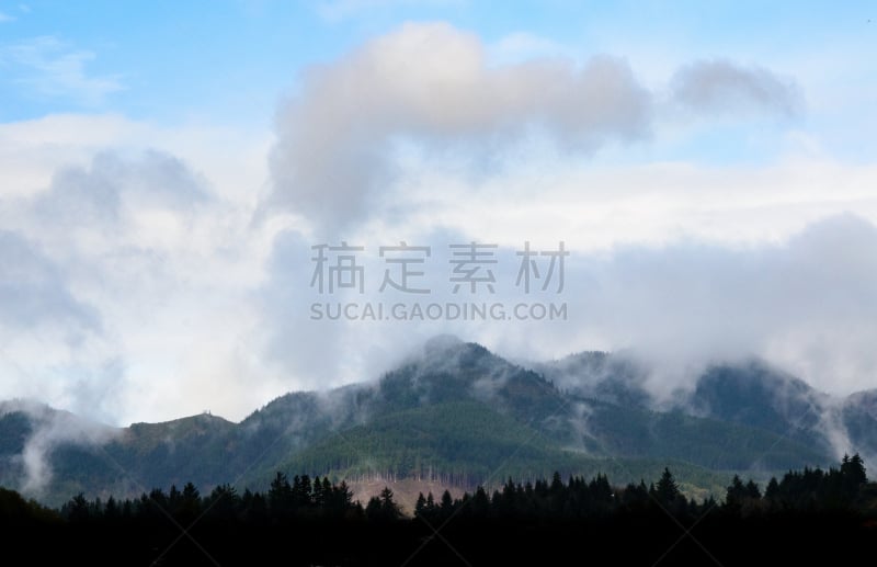 蓝岭公路,北卡罗来纳,水平画幅,山,无人,户外,阿巴拉契亚山脉,多车道公路,花旗松,蒂拉穆克