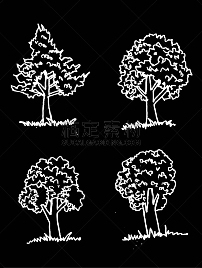 叶子,角树,柚木树,白杨,树苗,自然,垂直画幅,檀香,梨,无人