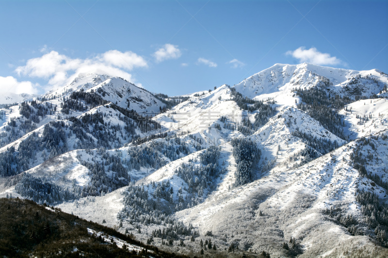 犹他,山脉,北,休闲活动,雪,高处,运动,冬天,黎明,雪鸟滑雪区