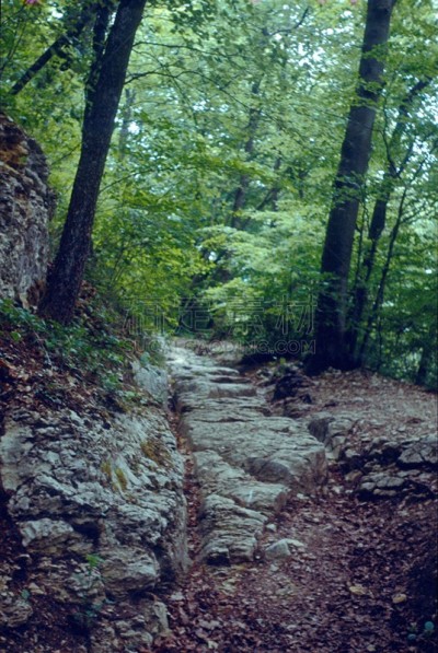 雷母帕特山脉,查普希尔,1970年-1979年,垂直画幅,教堂,档案,旅行者,石材,乡村风格,雨