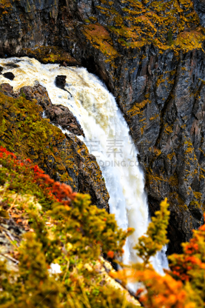 瀑布,挪威,非凡的,voringsfossen,埃德峡湾,垂直画幅,水,沟壑,夏天,草