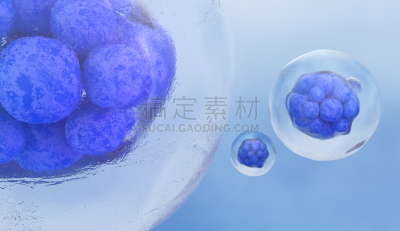 细胞,胚胎,在下面,显微镜,生物学,健康保健,药,生物科技,技术