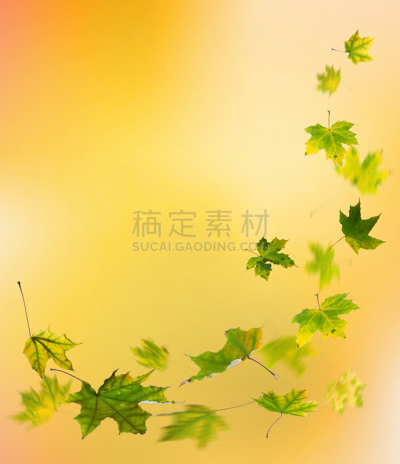 叶子,秋天,绿色,枯萎的,垂直画幅,留白,边框,九月,绘画插图,落下