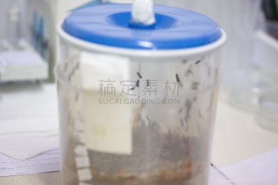植物,实验室,农业,蔬菜,显微镜,健康保健,化学,科技,癌症,科学实验