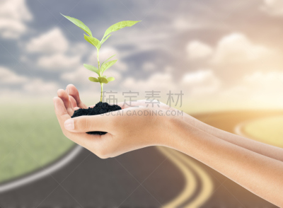 植物,自然,背景,路,手牵手,天空,水平画幅,泥土,户外,草