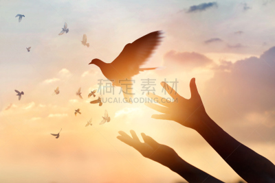自由,鸟类,自然,女人,概念,背景聚焦,希望,祈祷,日落,享乐