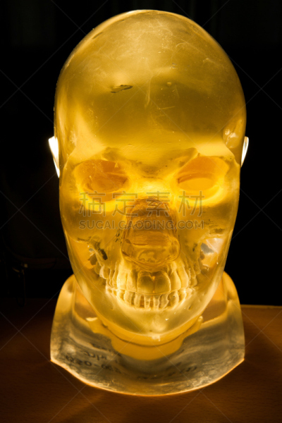 x光,人的头部,鬼,c型臂透视,硅树脂,垂直画幅,x光片,健康保健,人头骨