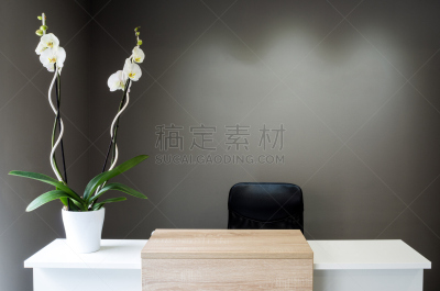 现代,植物,书桌,闪亮的,高雅,前台,酒店服务台,等候室,猩猩木,办公室