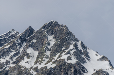 雪,高处,落基山国家公园,美国山桂,山地自行车运动,山地车,飙摩托车者,水平画幅,夏天,户外