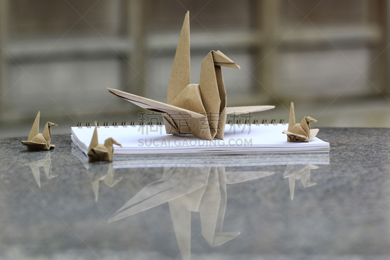 鸟类,折纸工艺,折叠的,水平画幅,形状,工艺品,天鹅,式样,手艺,日本
