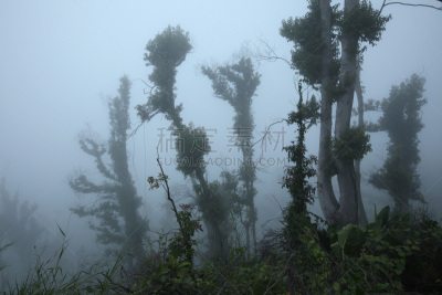 热带雨林,墨拉皮火山,印度尼西亚,中爪哇,水平画幅,无人,马来西亚人,火山地形,早晨,组物体