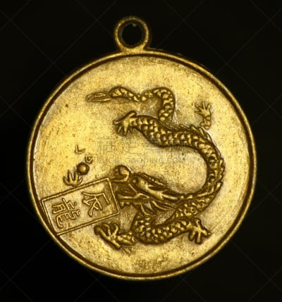 龙,项坠,动物的鳞,中文,汉字,风水,十二生肖,垂直画幅,椭圆形,符号