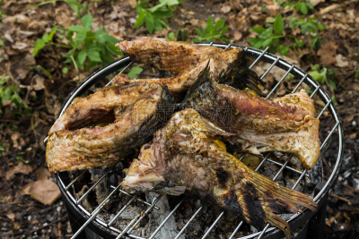 鱼类,炊具,鲤鱼,烤肉餐,格子烤肉,水平画幅,无人,膳食,夏天,熟食店