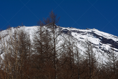 富士山,日本,加美,箱根湿地植物园,箱根园,富士箱根伊豆国立公园,伊豆半岛,火山喷口,水,灵性