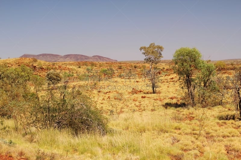 偏远地区,澳大利亚,三齿稃,the pilbara,半干旱,美,公园,西澳大利亚,水平画幅,山