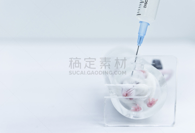 药,鼠,医学检测,研究人员,生物科技,水平画幅,老鼠,科学实验,科学