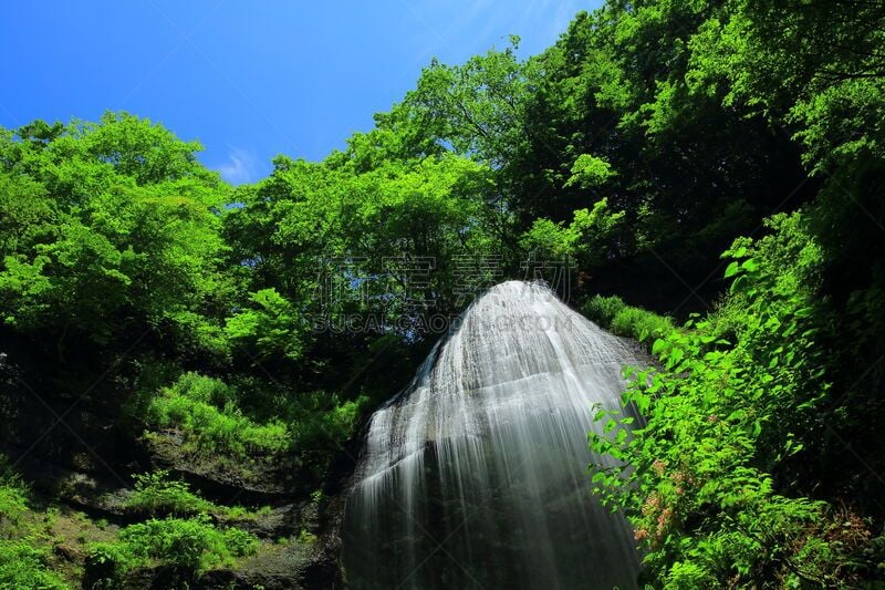 夏天,shiraito falls,水,天空,水平画幅,瀑布,户外,著名自然景观,植物,山