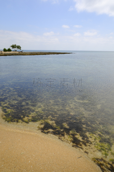 海滩,垂直画幅,水,沙子,无人,衰老过程,水下,夏天,拉丁美洲,海草