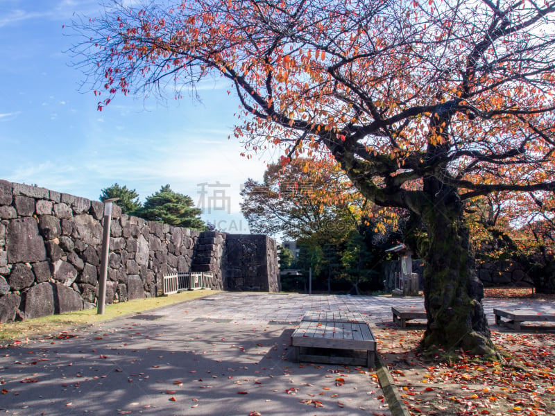 园林,叶子,金泽,秋天,森林,公园,长椅,里山,休闲活动,水平画幅