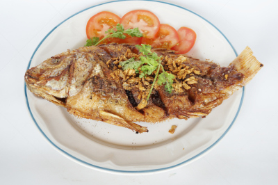 鱼类,罗非鱼,尼罗河,河流,格子烤肉,水平画幅,膳食,海产,干的,图像