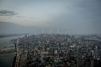 都市风景,纽约,城市天际线,高视角,夜晚,曙暮光,现代,国际著名景点,阿姆斯特丹世贸中心,世贸中心