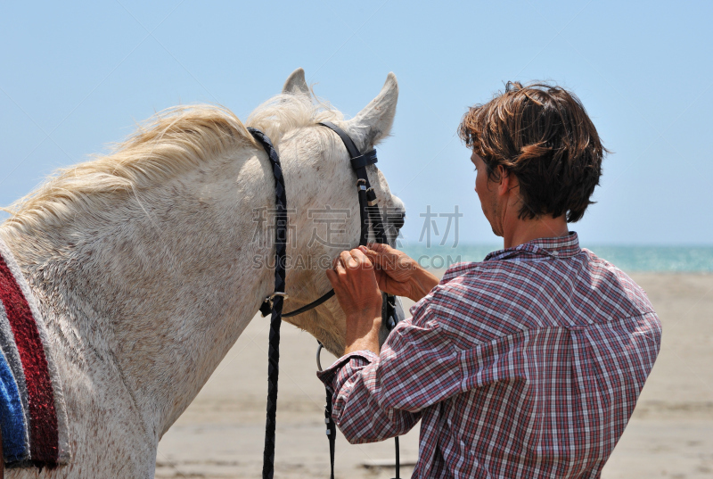 马,男人,天空,水平画幅,户外,Camargue Horse,白人,仅成年人,马嚼子,白色