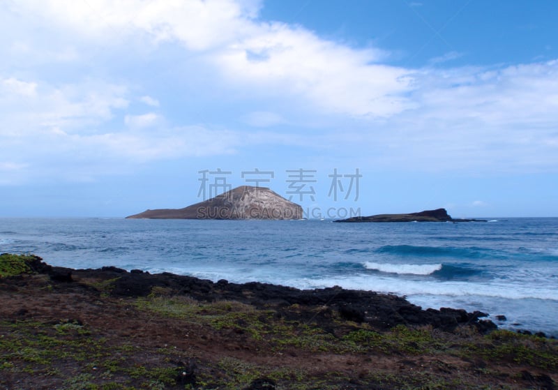 岛,兔子,黑岩沙漠,海岸线,水,天空,美国,水平画幅,沙子,无人