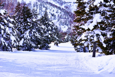 滑雪坡,天空,山之内町,里山,度假胜地,休闲活动,水平画幅,山,雪,长野县