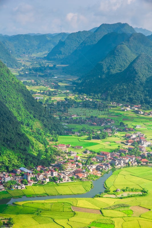 英国飞机公司,越南,乡村,山谷,稻,儿子,田地,垂直画幅,枝繁叶茂,山