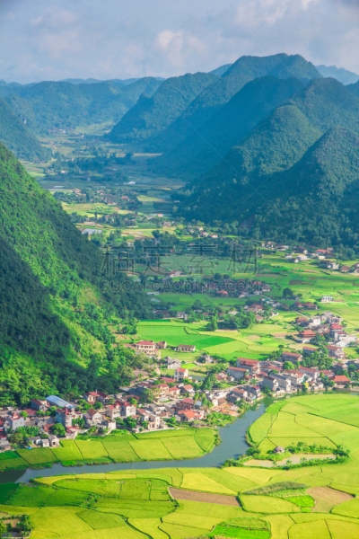 英国飞机公司,越南,乡村,山谷,稻,儿子,田地,垂直画幅,枝繁叶茂,山