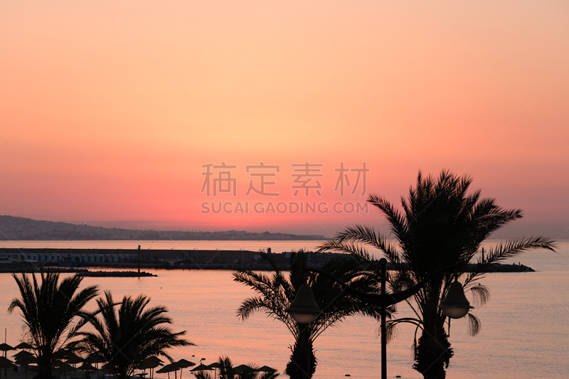 早晨,棕榈树,突尼斯,非洲,哈马马特,表现积极,水,天空,美,水平画幅