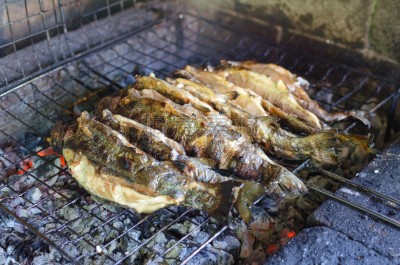 清新,炊具,格子烤肉,水平画幅,膳食,海产,香料,特写,热,营火