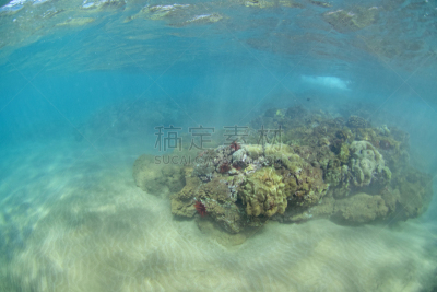 威利亚海滩,礁石,水,天空,美,度假胜地,水平画幅,沙子,无人,火山地形