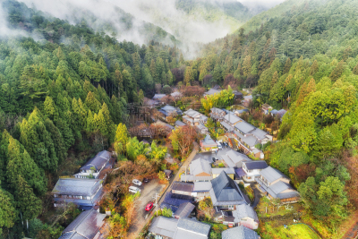 大原,乡村,树林,两只动物,大麦町,农业,草坪,环境,云,天气