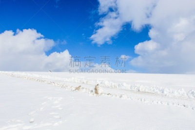 朗格冰川,冰岛国,寒冷,极限运动,环境,霜,雪,二月,雪上汽车运动,暴风雨