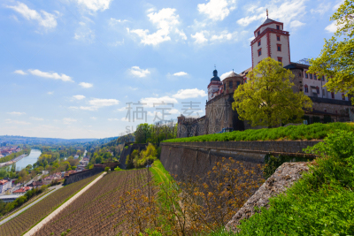 View of the city of Marienburg fortress and grape fields in würzburg