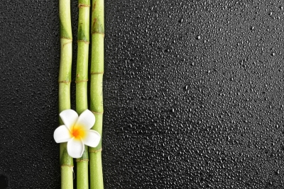 竹,黑色背景,玄武岩立柱,赤素馨花,富贵竹,热石按摩,风水,竹林,兰花