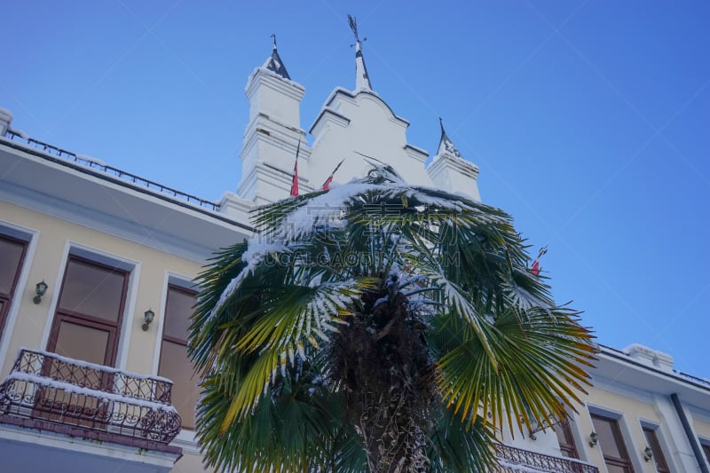 雪,背景,棕榈树,有包装的,平衡折角灯,建筑外部,古老的,自然,植物,水平画幅