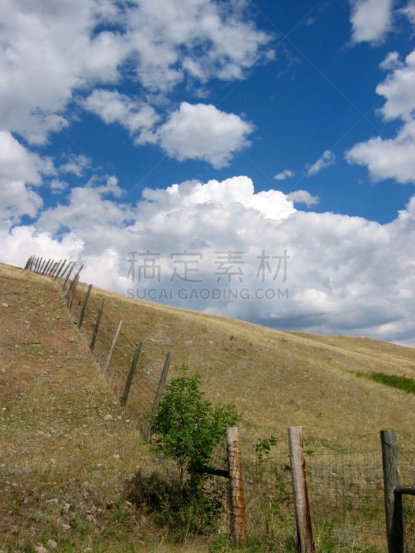 南达科他州,卡司特州立公园,美洲野牛,垂直画幅,草地,无人,户外,云景,边界,国际著名景点