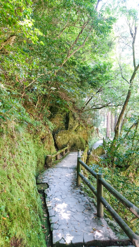 沟壑,加贺市,石川县,星和园,郊区,垂直画幅,美,无人,夏天,户外