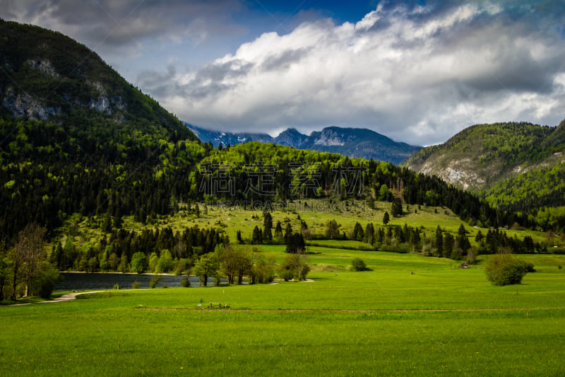 特里格拉夫国家公园,湖,山脉,波悉尼,julian alps,水,水平画幅,无人,鸟类,户外