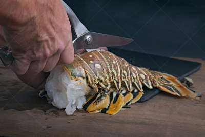 龙虾尾,大螯虾,尾巴,尾鳍,龙虾,缅因州,水平画幅,巨大的,膳食,烹调