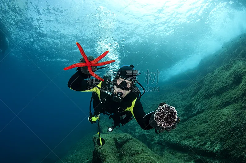 海洋生命 液氧罐 深海潜水 水中呼吸器 海胆 氧气瓶 潜水镜 硬珊瑚 水 休闲活动图片素材下载 稿定素材