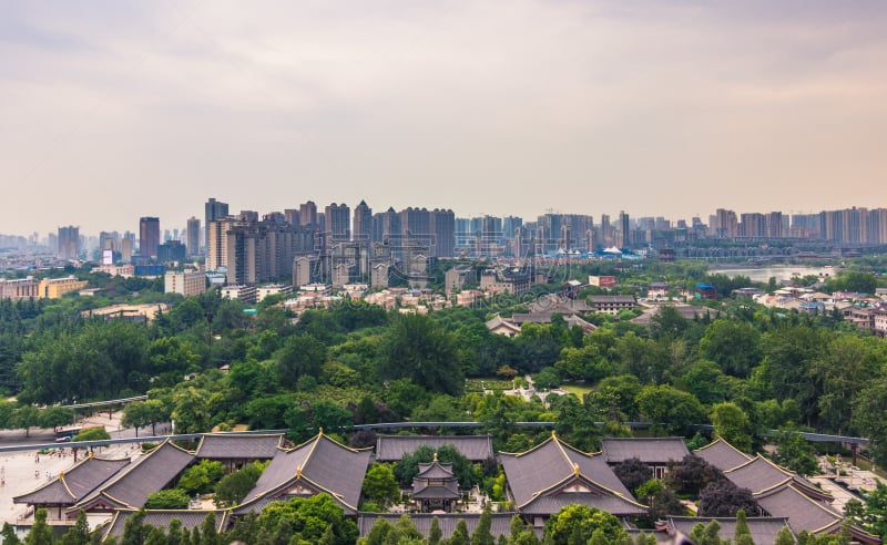 西安,宝塔,巨大的,风景,鹅肉,中国,2014年,七月,野生植物,大雁塔