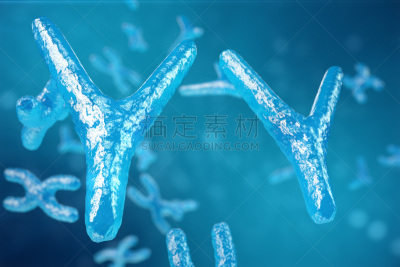 3D illustration XY-chromosomes as a concept for human biology medical symbol gene therapy or microbiology genetics research
