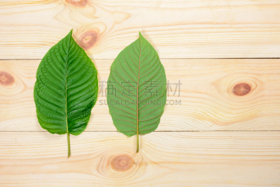 叶子,比亚克岛,受体,茜草科,薄荷醇,关系紧张,替代疗法,辅导讲座,艺术,水平画幅