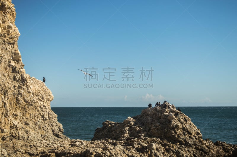 海岸线,岩石,海滩,兰乔帕洛斯维第斯,海湾,云景,云,加利福尼亚,海浪,水湾