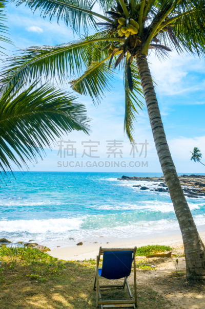 海滩,鸡尾酒,斯里兰卡,垂直画幅,天空,度假胜地,沙子,无人,椰子树,坦加勒