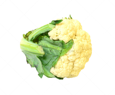 花椰菜,白色背景,分离着色,水平画幅,素食,无人,油菜科,清新,叶子,灰葡萄孢菌