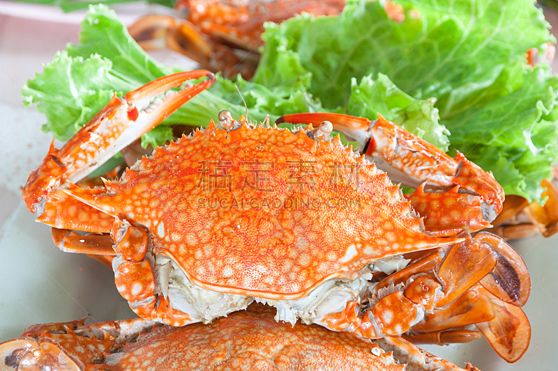 螃蟹,蒸菜,煮食,水平画幅,膳食,海产,海洋,肉,红色,餐馆